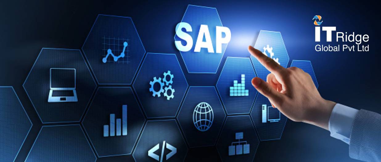 SAP Config Analyst Programmer